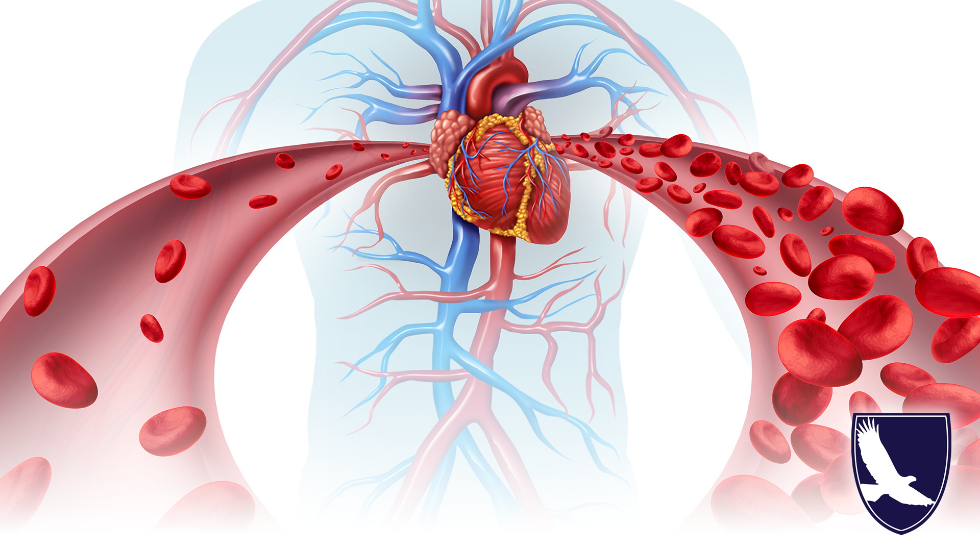 CAN I GET SOCIAL SECURITY DISABILITY FOR CHRONIC ANEMIA